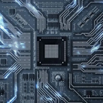 Everything You Need to Know About dnoga1b2c3d4