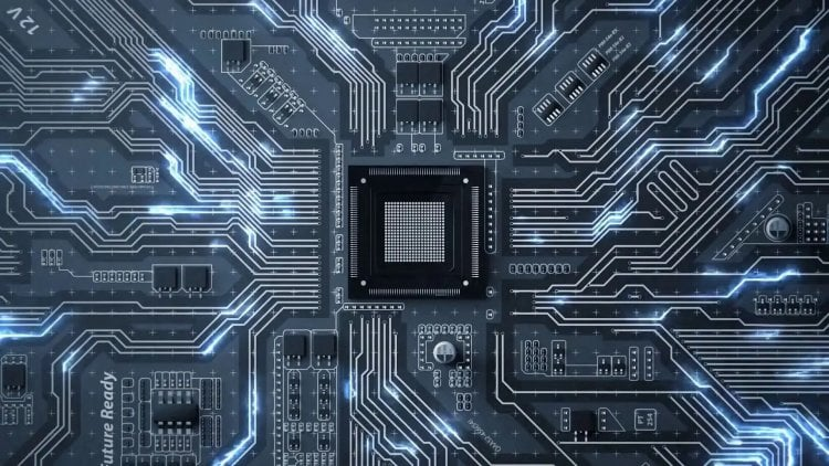 Everything You Need to Know About dnoga1b2c3d4